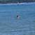 That's Matt swimming in Higgins Lake